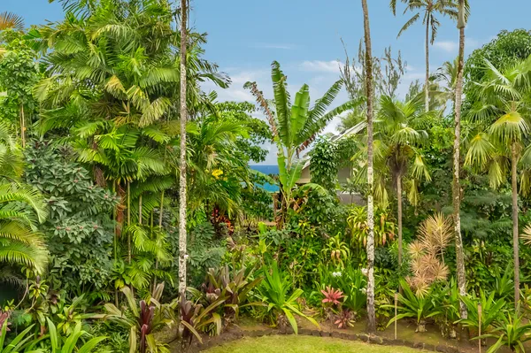 a view of door with plants and a bench