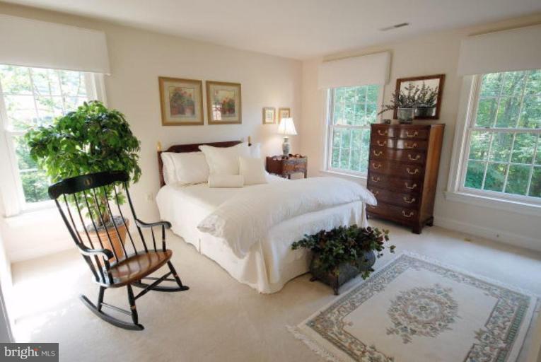 7218 Braddock Road Annandale, VA 22003 - Photo 19 of 30 Bedroom #4