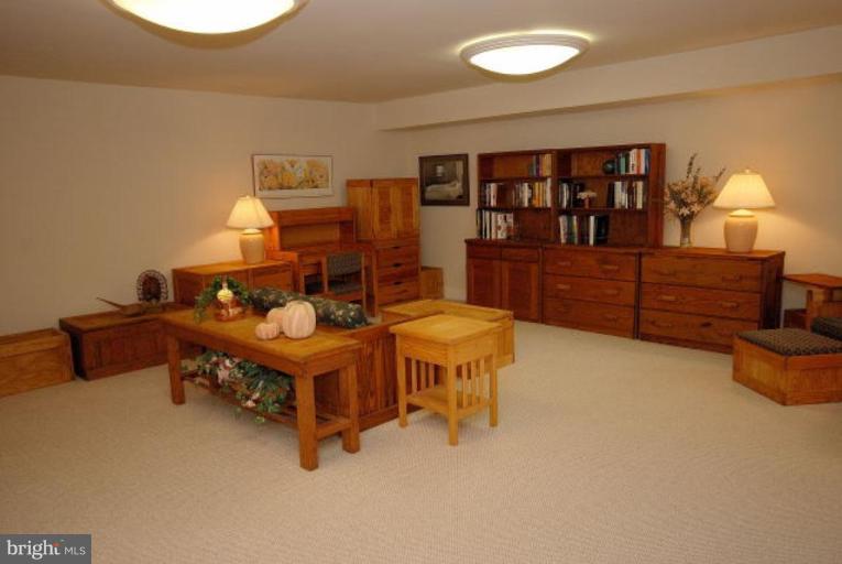 7218 Braddock Road Annandale, VA 22003 - Photo 24 of 30 Recreation Room
