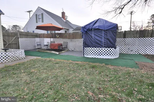 a view of a yard with a large tree