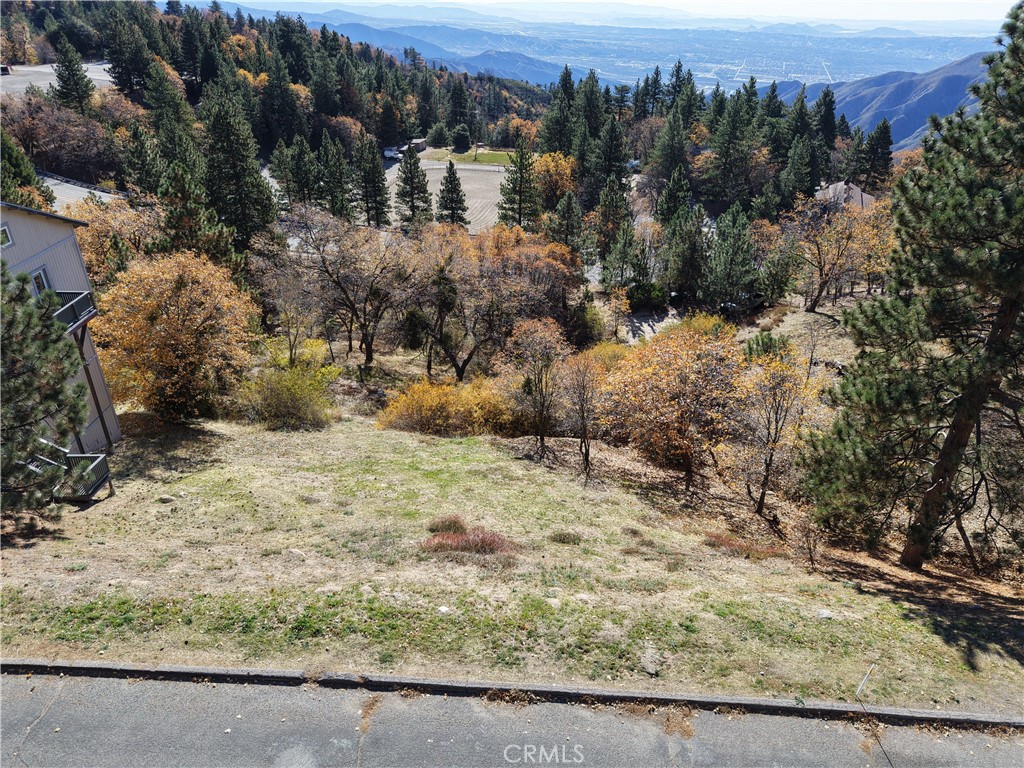0 Enchanted Way Running Springs, CA 92382 - Photo 6 of 21 a view of a yard with a tree