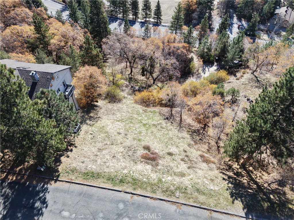 0 Enchanted Way Running Springs, CA 92382 - Photo 7 of 21 a view of a covered with trees