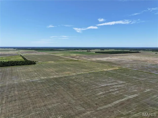 $2,649,600 | Off Off County Road, Naylor, MO 63953