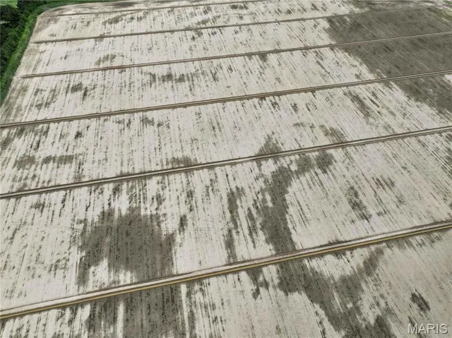 $2,649,600 | Off Off County Road, Naylor, MO 63953