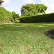 1761 Southwest 10th Street Boca Raton, FL 33486 - Photo 3 of 25 Fenced Back Yard
