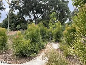 $3,600 | 718 South La Luna Avenue, Ojai, CA 93023