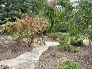 $3,600 | 718 South La Luna Avenue, Ojai, CA 93023