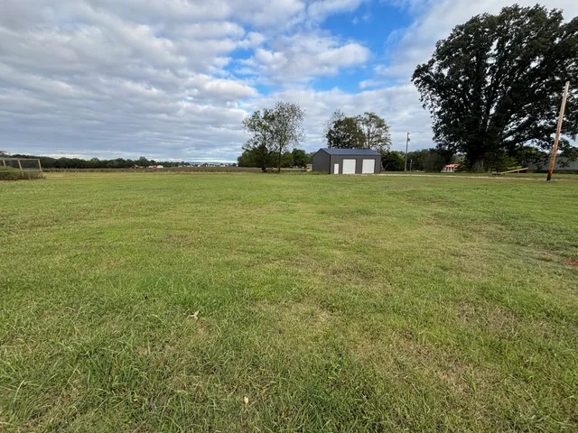 a view of yard with swimming pool and green space