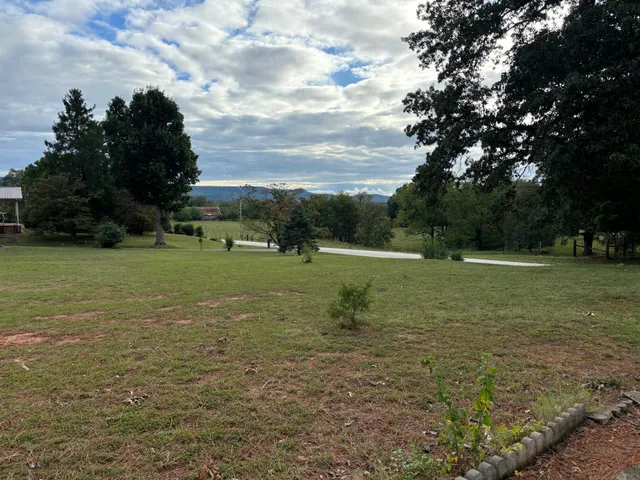 a view of a green field with trees