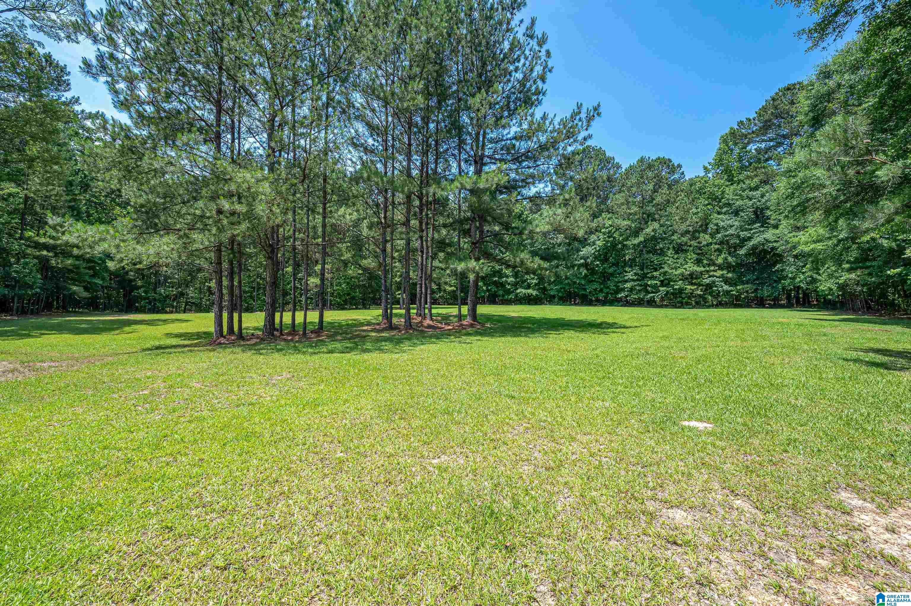 290 Baron Drive Chelsea, AL 35043 - Photo 50 of 59