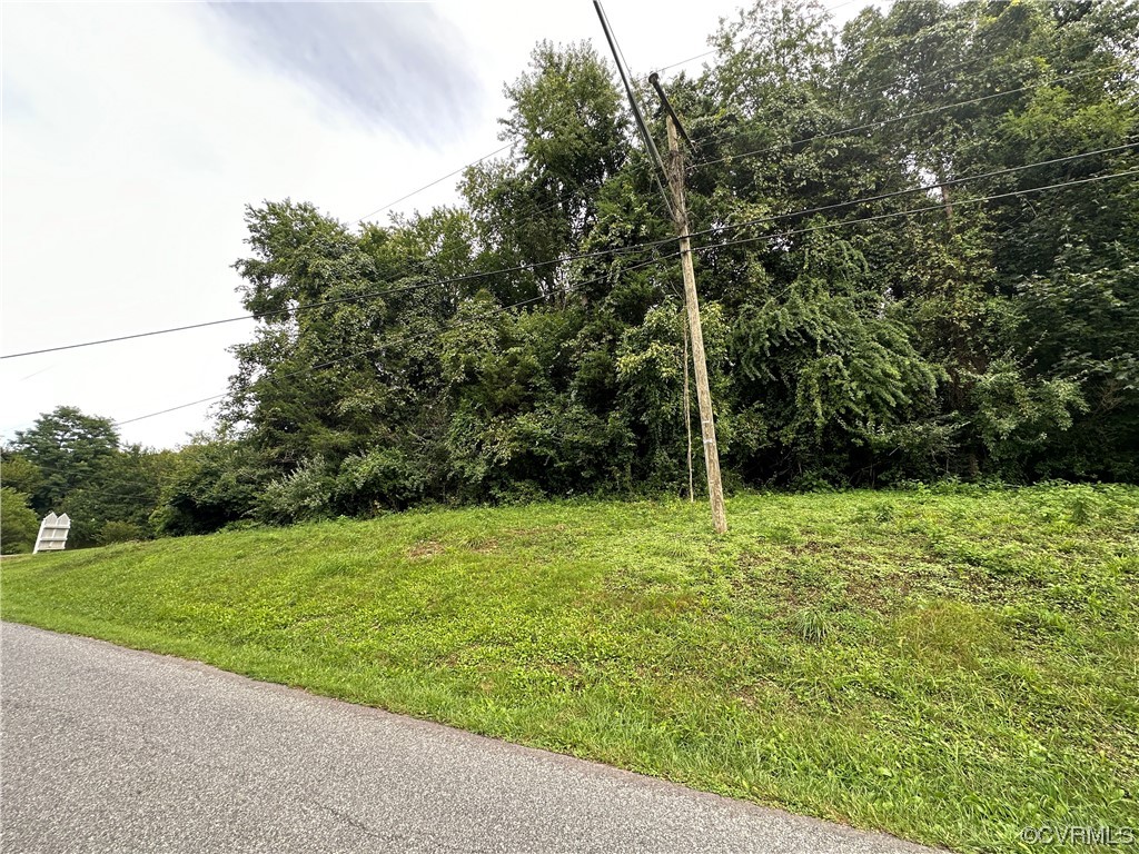 0 Newtown Road Buchanan, VA 24066 - Photo 4 of 8 Gallery Image 4
