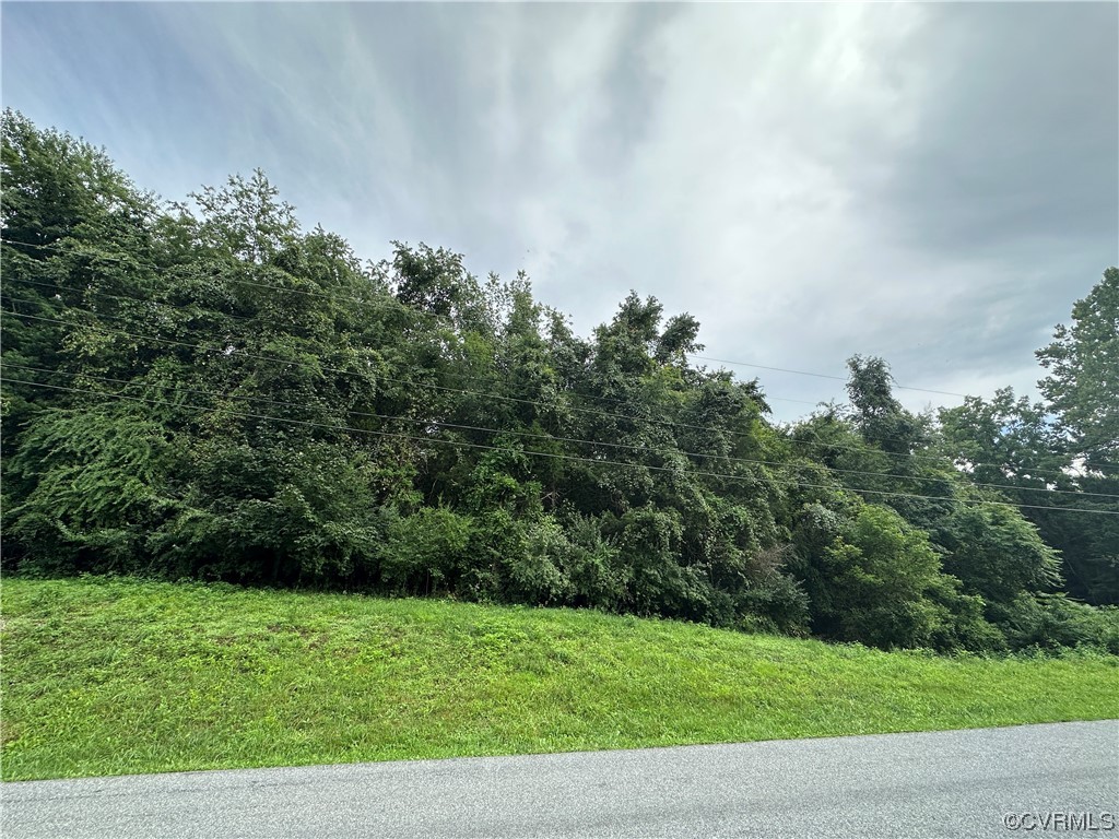 0 Newtown Road Buchanan, VA 24066 - Photo 6 of 8 Gallery Image 6