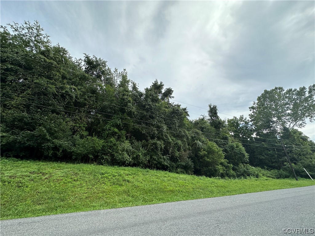 0 Newtown Road Buchanan, VA 24066 - Photo 7 of 8 Gallery Image 7