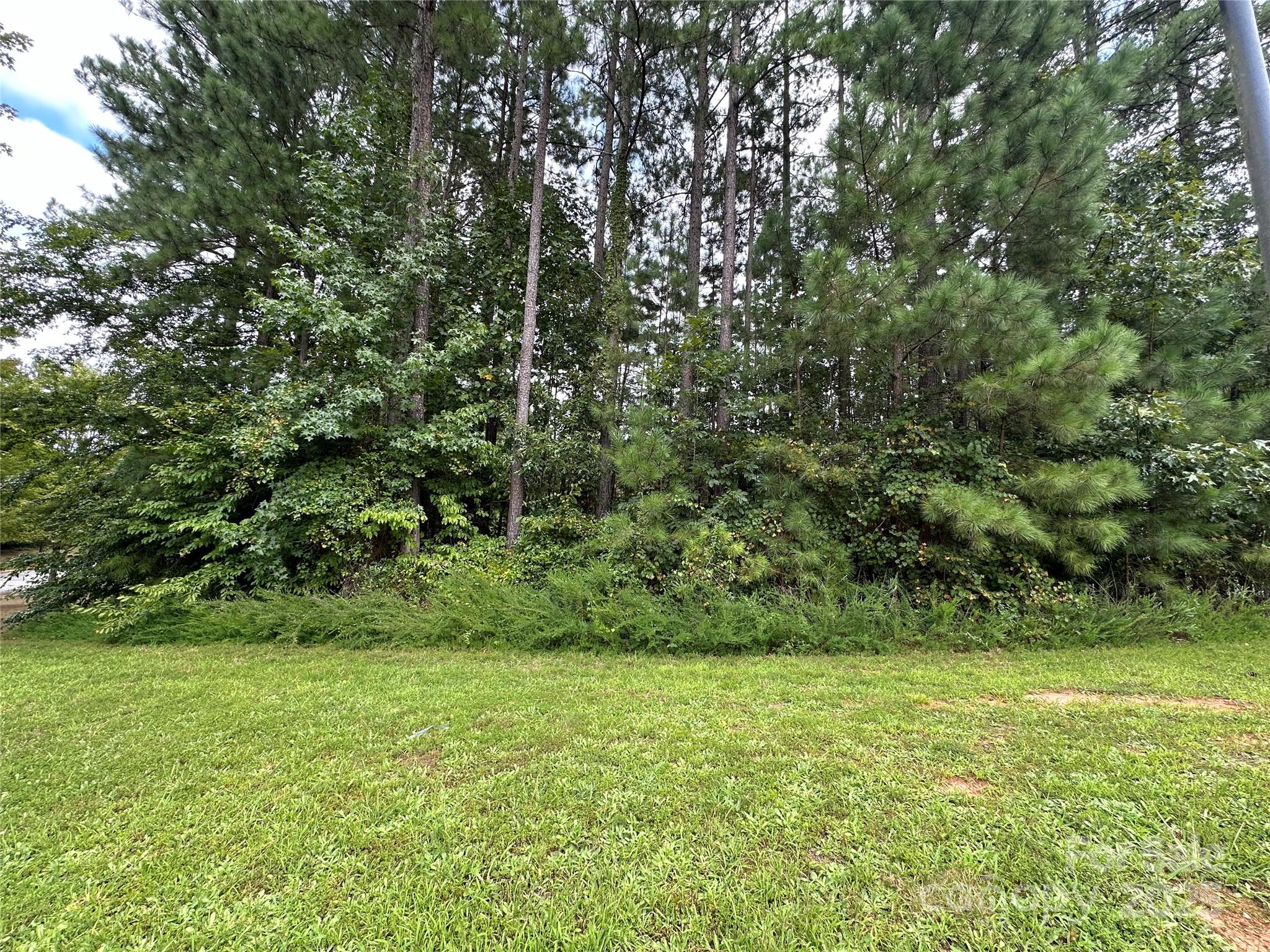 206 Streamwood Road, Unit 32 Troutman, NC 28166 - Photo 4 of 6 Gallery Image 4
