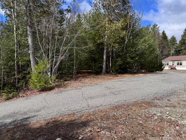72 Needle's Eye Road Lamoine, ME 04605 - Photo 14 of 17 Driveway