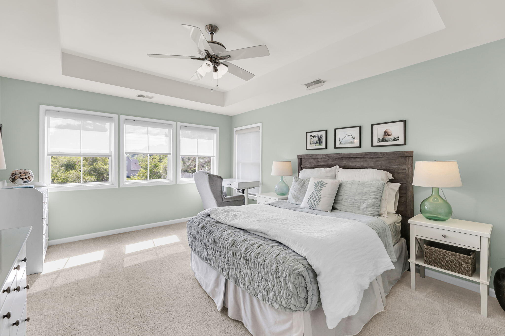 2286 Sandy Point Lane Mount Pleasant, SC 29466 - Photo 25 of 63 CREM - 2286 Sandy Point Ln + Aerial + Am