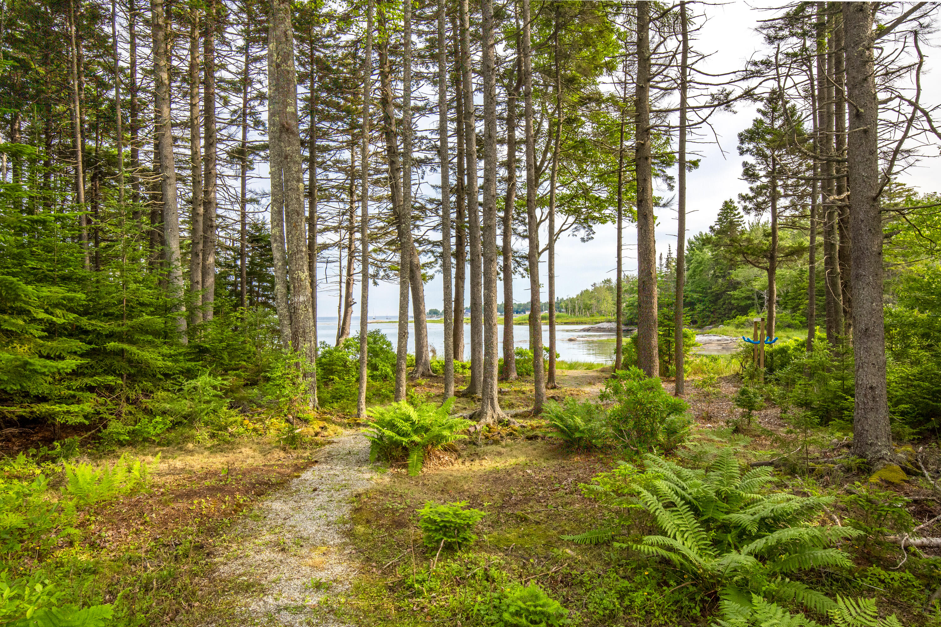 133 Scraggle Point Road St. George, ME 04859 - Photo 25 of 27 44-133ScragglePointRd-SpruceHead-KS