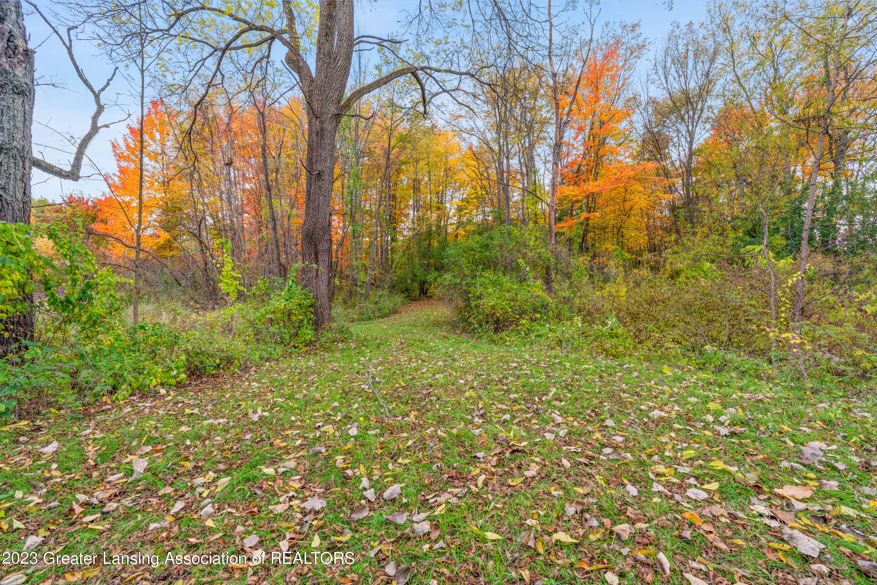 9380 Coleman Road Haslett, MI 48840 - Photo 43 of 46 56-Media Jett-58