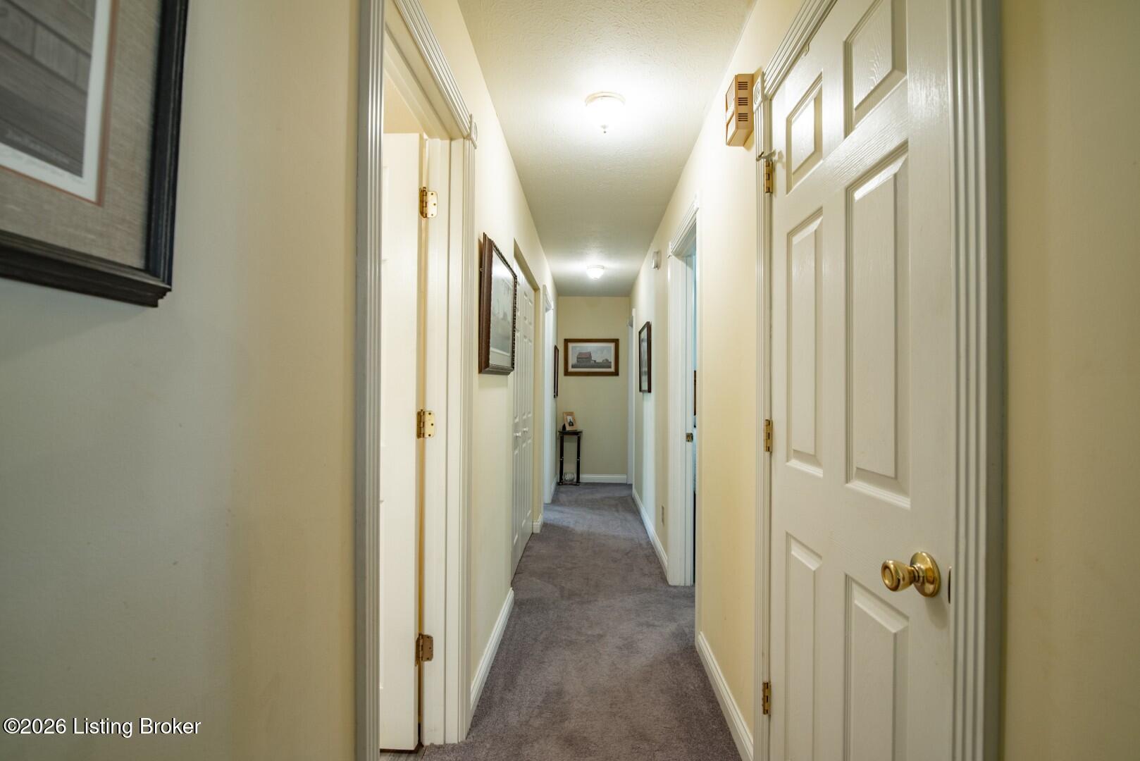 941 Flint Hill Road Sonora, KY 42776 - Photo 39 of 73 941 Flint Hill Rd-39