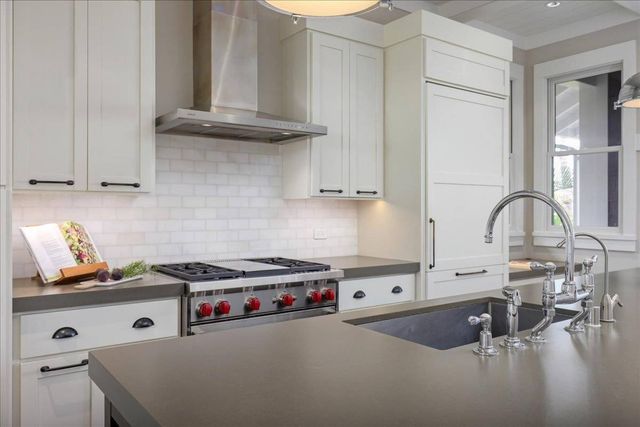 a kitchen with a sink a counter and a potted plant
