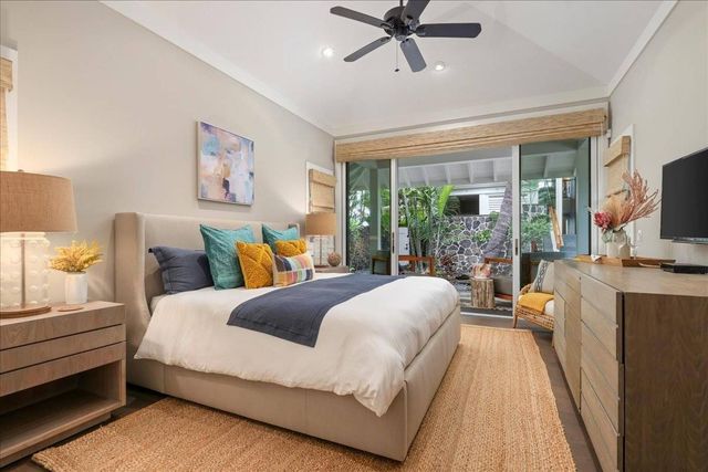 a view of a garden with a plant