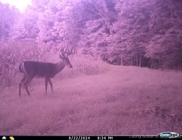 $595,000 | 6303 South Bud Miller Road, Salem, IN 47167