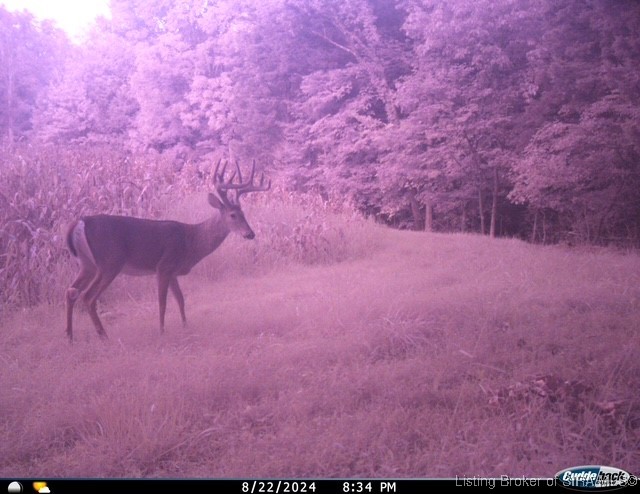 6303 South Bud Miller Road Salem, IN 47167 - Photo 21 of 31