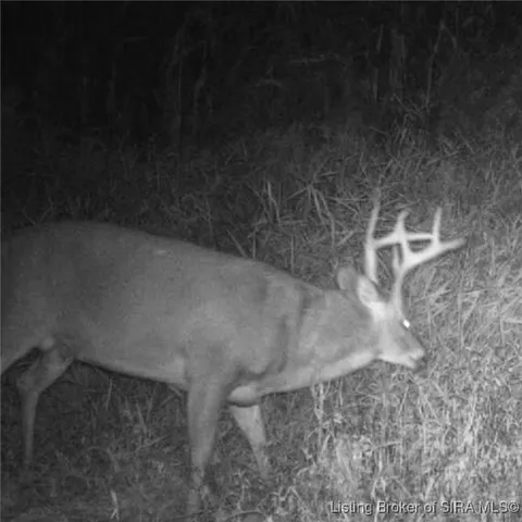 $595,000 | 6303 South Bud Miller Road, Salem, IN 47167