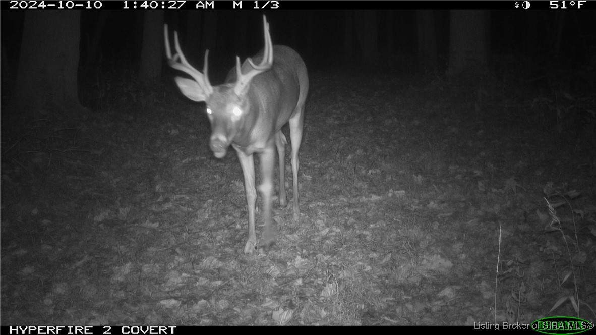 6303 South Bud Miller Road Salem, IN 47167 - Photo 23 of 31