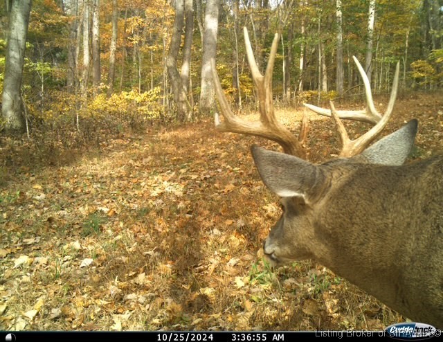 6303 South Bud Miller Road Salem, IN 47167 - Photo 24 of 31