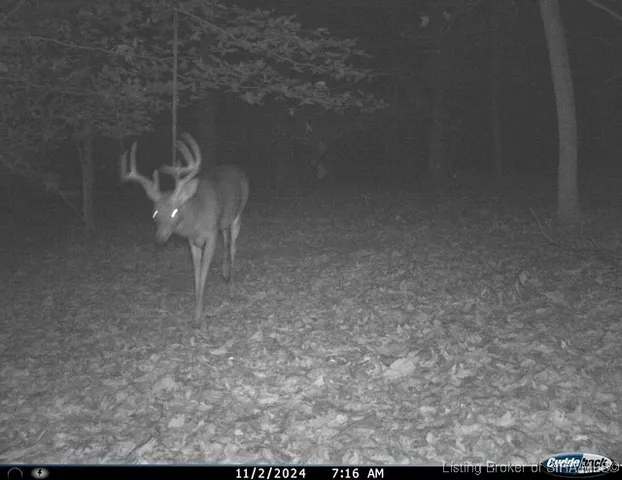 $595,000 | 6303 South Bud Miller Road, Salem, IN 47167