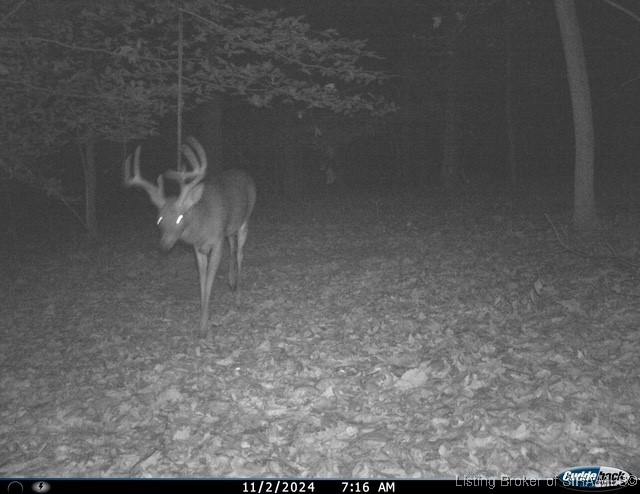 6303 South Bud Miller Road Salem, IN 47167 - Photo 25 of 31