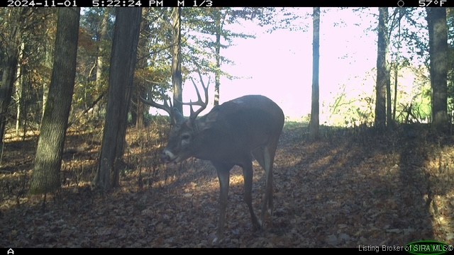 6303 South Bud Miller Road Salem, IN 47167 - Photo 26 of 31
