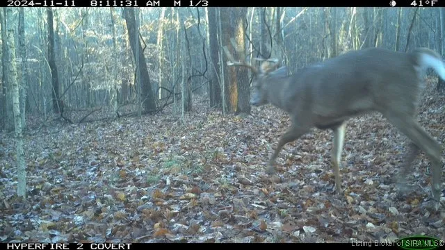 $595,000 | 6303 South Bud Miller Road, Salem, IN 47167