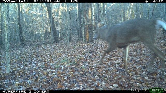 6303 South Bud Miller Road Salem, IN 47167 - Photo 27 of 31