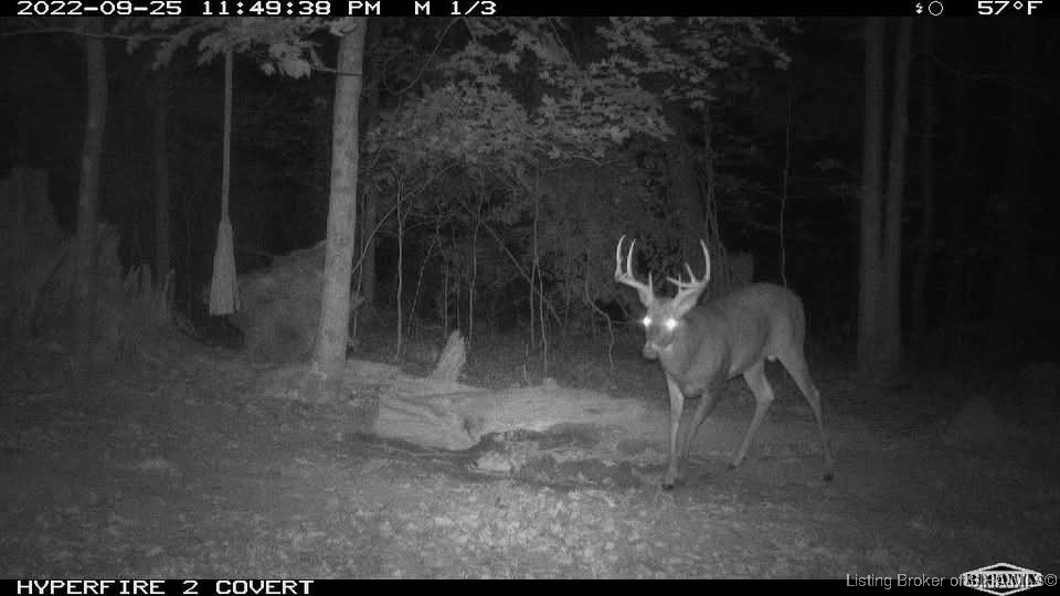 6303 South Bud Miller Road Salem, IN 47167 - Photo 28 of 31