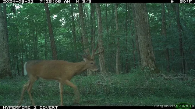 $595,000 | 6303 South Bud Miller Road, Salem, IN 47167