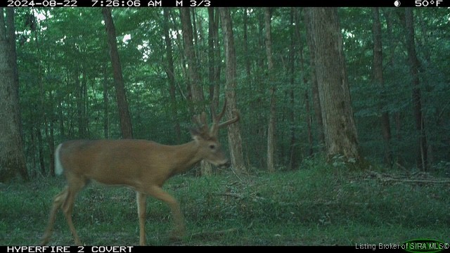 6303 South Bud Miller Road Salem, IN 47167 - Photo 29 of 31