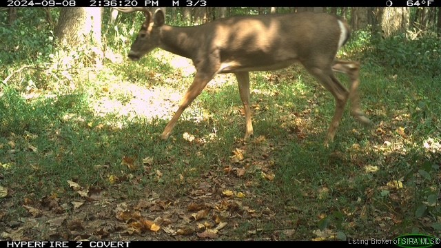 6303 South Bud Miller Road Salem, IN 47167 - Photo 30 of 31