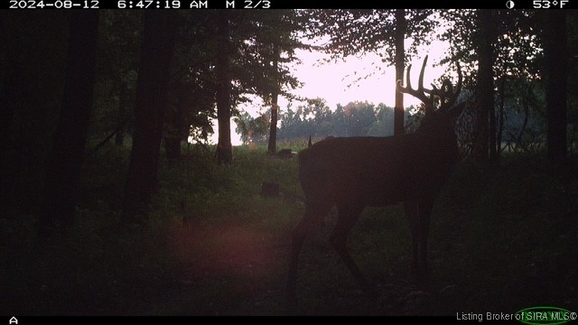 6303 South Bud Miller Road Salem, IN 47167 - Photo 31 of 31