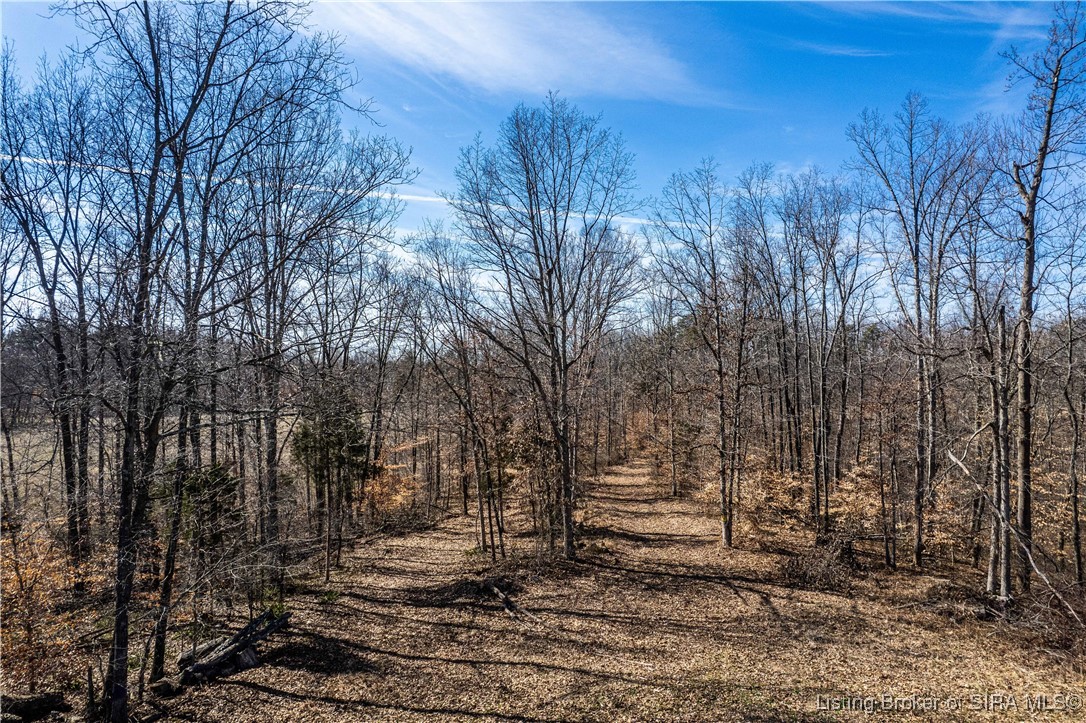 6303 South Bud Miller Road Salem, IN 47167 - Photo 6 of 31