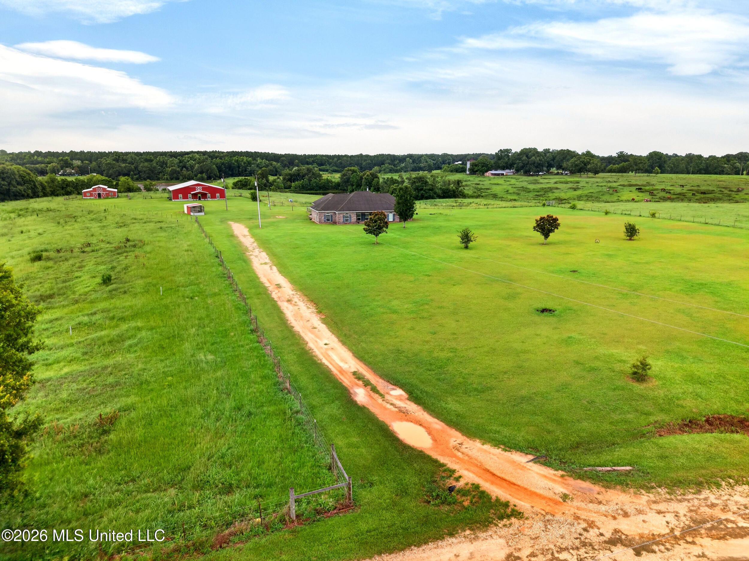 16 D O Stanford Road Poplarville, MS 39470 - Photo 36 of 48 49_driveway