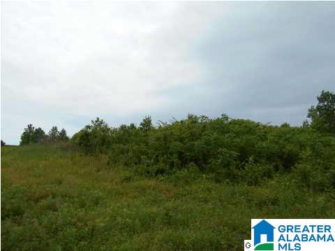 Marvin Adcock Road, Unit 31 Hayden, AL 35079 - Photo 4 of 6