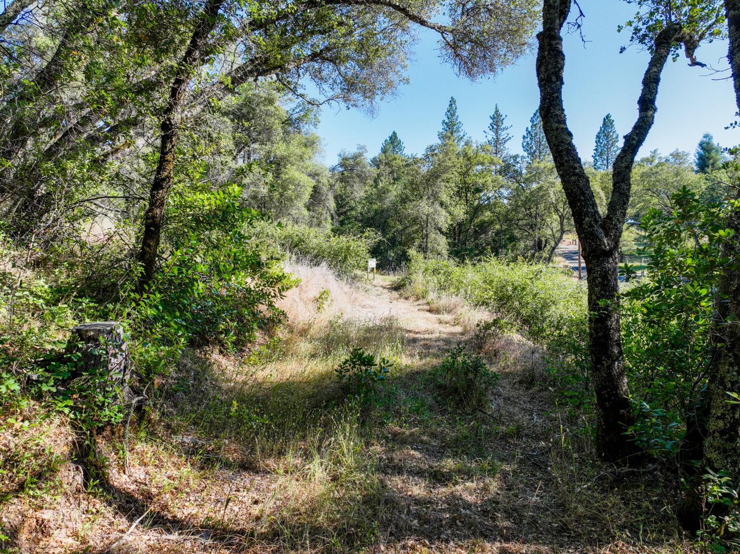 16970 Southridge Road Penn Valley, CA 95946 - Photo 40 of 45