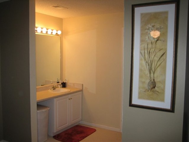 3 Crocus Court Fountain Inn, SC 29644 - Photo 21 of 24 Gallery Image 21