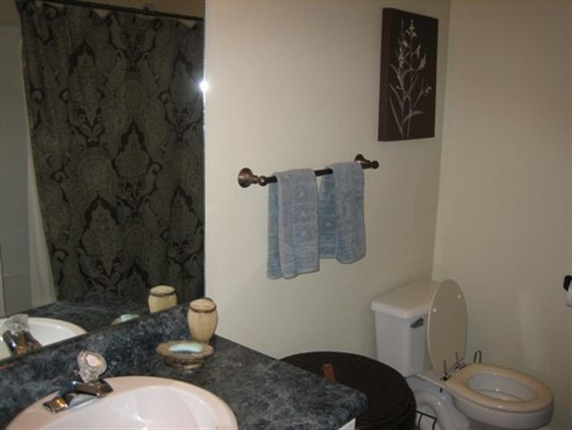 3 Crocus Court Fountain Inn, SC 29644 - Photo 23 of 24 Gallery Image 23