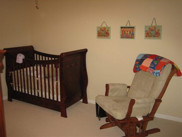 3 Crocus Court Fountain Inn, SC 29644 - Photo 24 of 24 Gallery Image 24