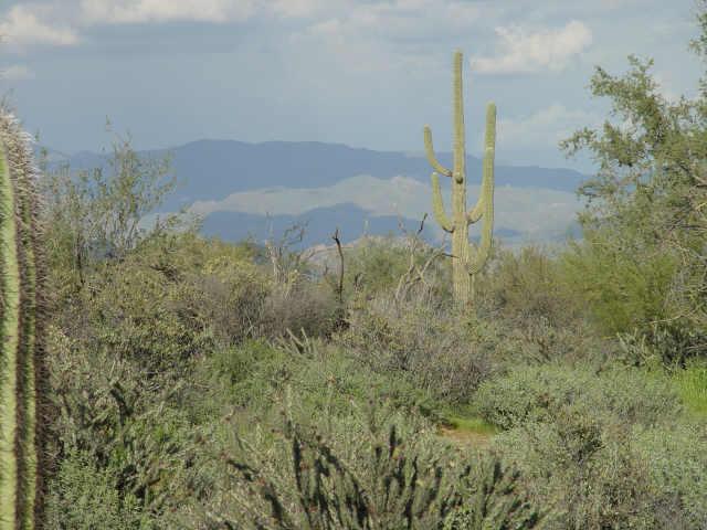 30600 North 172, Unit 1 Rio Verde, AZ 85263 - Photo 4 of 6 Additional Photo