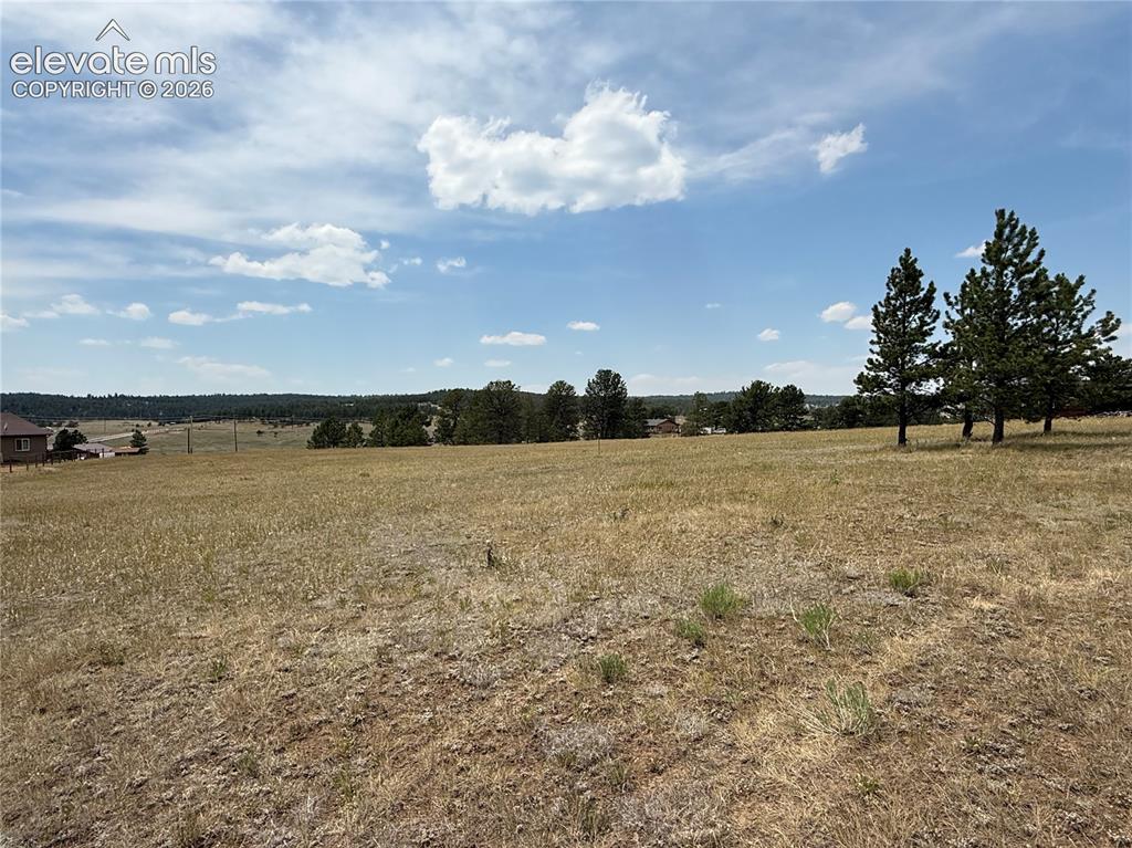 378 High Pasture Road Florissant, CO 80816 - Photo 38 of 38 Additional 2 acre parcel available to new owners also (4.0 total acres)!