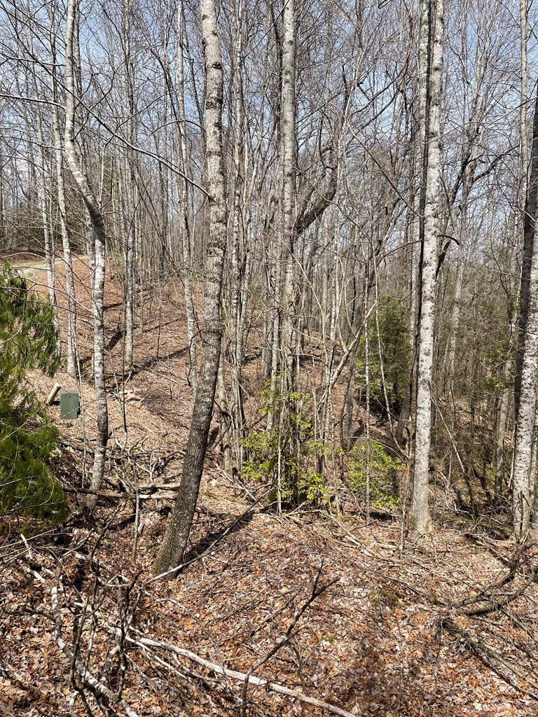 0 Hidden Lakes Road Topton, NC 28781 - Photo 7 of 14